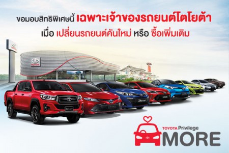 Toyota Privilege More